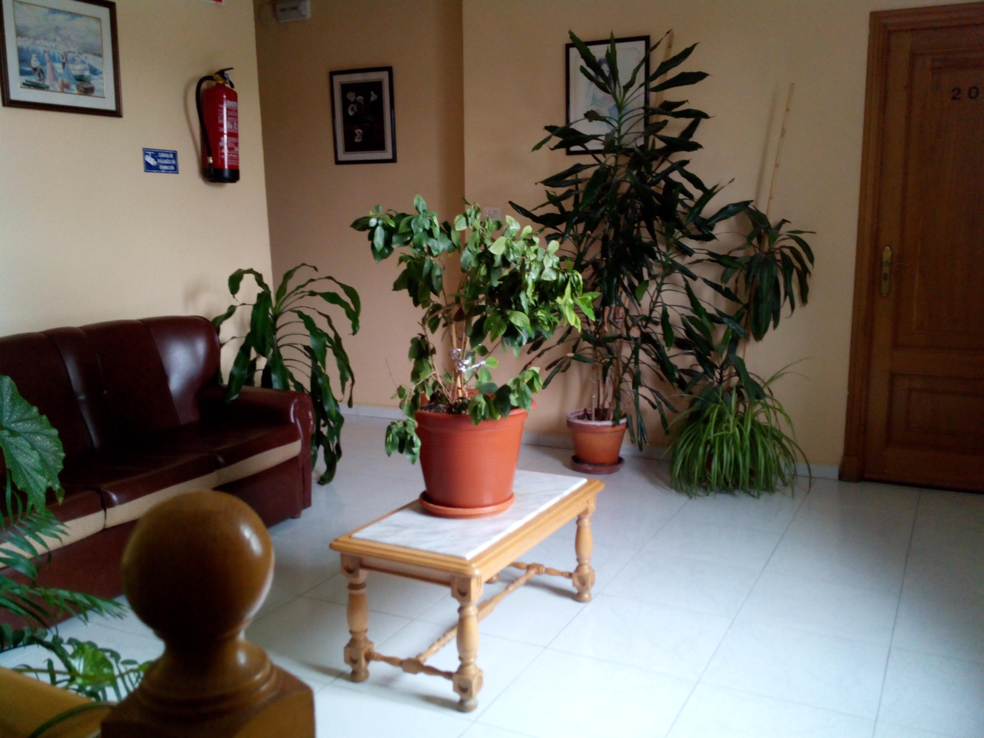 Hostal Sequeiros San Ciprián de Viñas Екстериор снимка