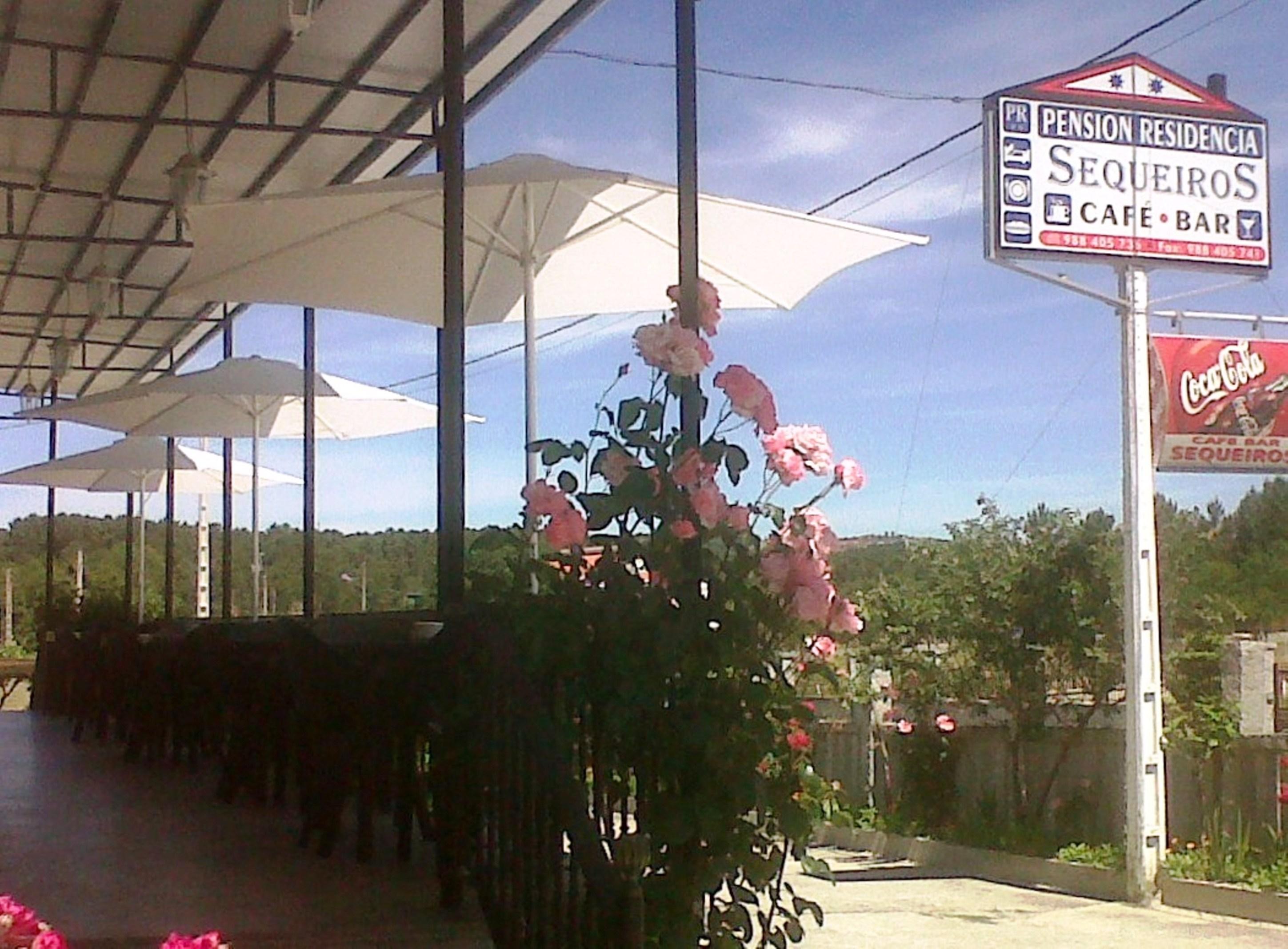 Hostal Sequeiros San Ciprián de Viñas Екстериор снимка