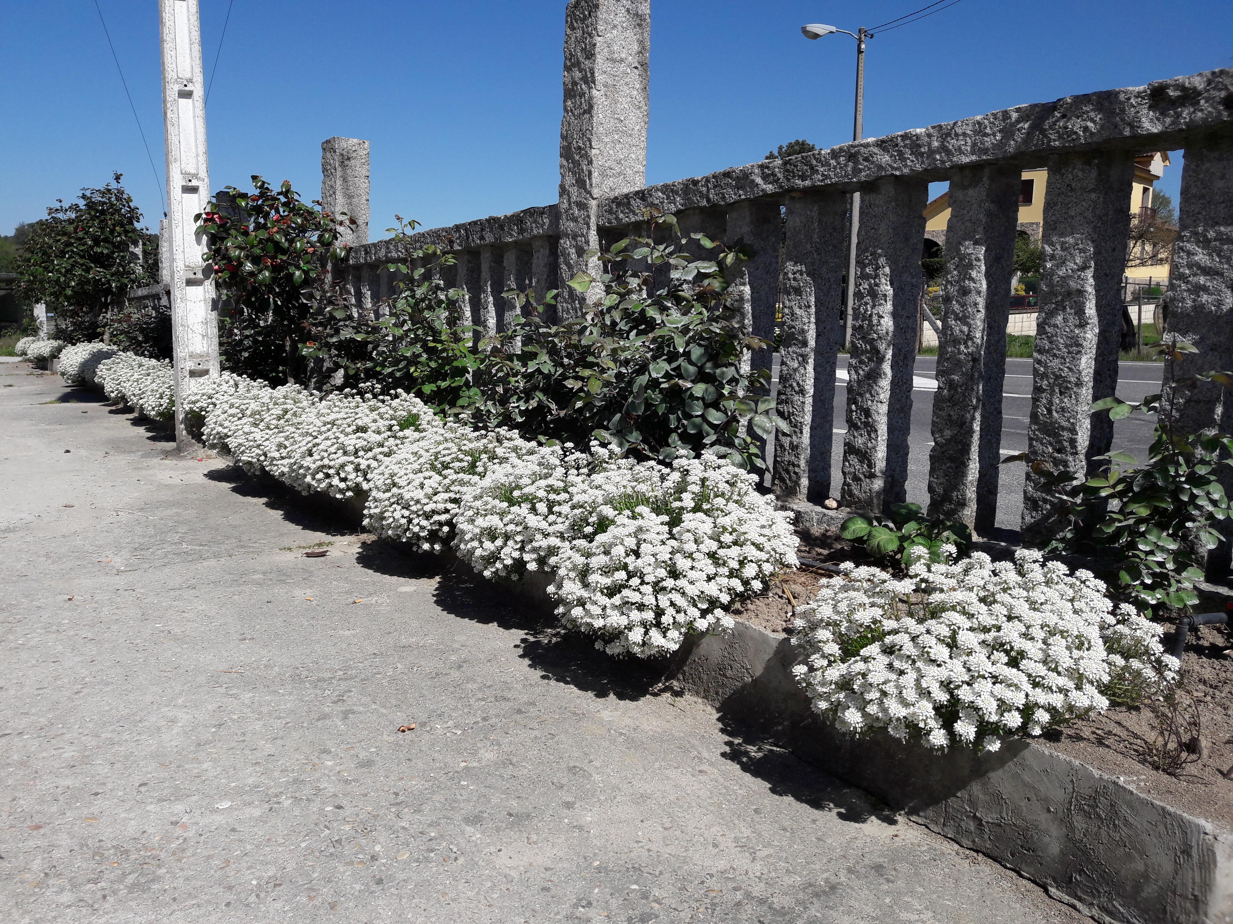 Hostal Sequeiros San Ciprián de Viñas Екстериор снимка